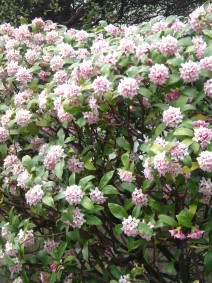 200603170040.jpg 200603170040.jpg