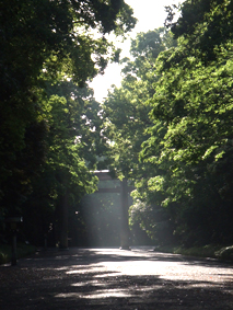 200705261025.jpg