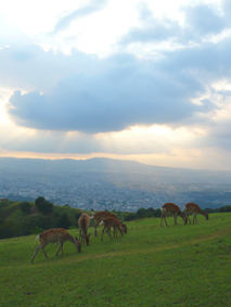 200709211615.jpg
