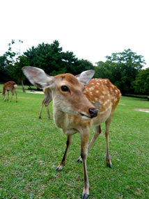 200712010823.jpg
