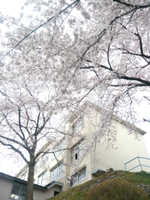 200805071044.jpg