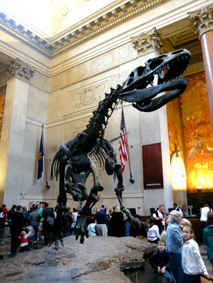 200810060247.jpg