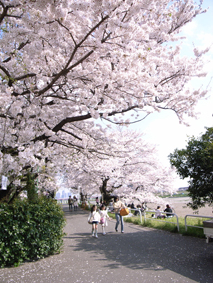 200904091830.jpg