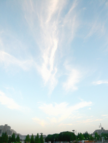 2009081401.jpg