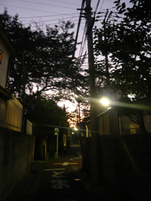 2009091902.jpg