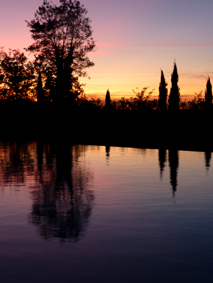 2009111406.jpg