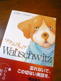2010013001.jpg