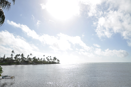 2011012701.jpg 2011012701.jpg