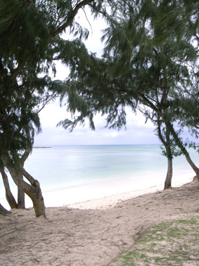 2011012706.jpg 2011012706.jpg