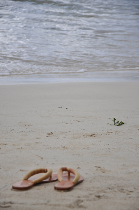 2011012708.jpg 2011012708.jpg