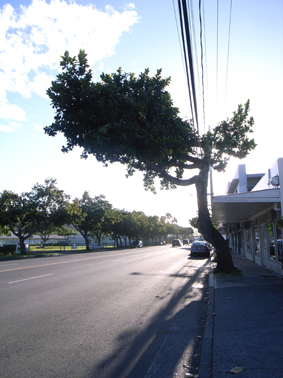 2011012709.jpg 2011012709.jpg