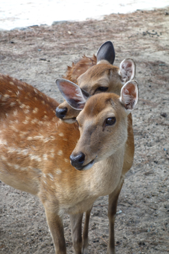 2012081004.jpg