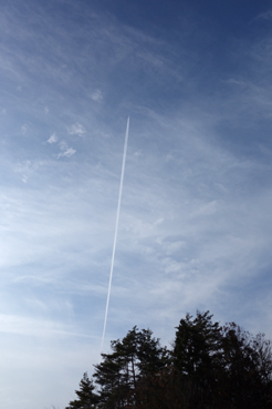 2014120101.jpg