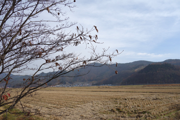 2014120102.jpg