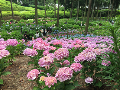 2017092505.jpg