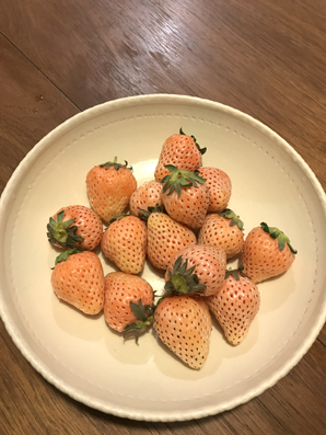 2018041103.jpg