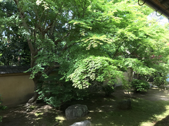 2018052303.jpg