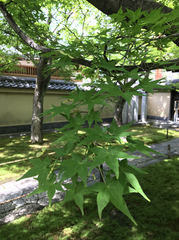 2018052304.jpg