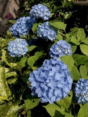 2019061101.jpg