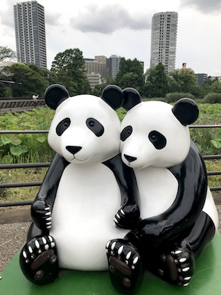 2019062101.jpg